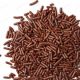Chocolate-Sprinkles